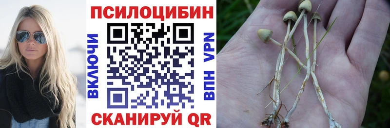 ОМГ ОМГ ссылки Козельск Галлюциногенные грибы ЛСД